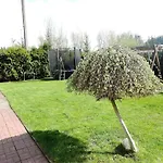 In Near Baltic Sea